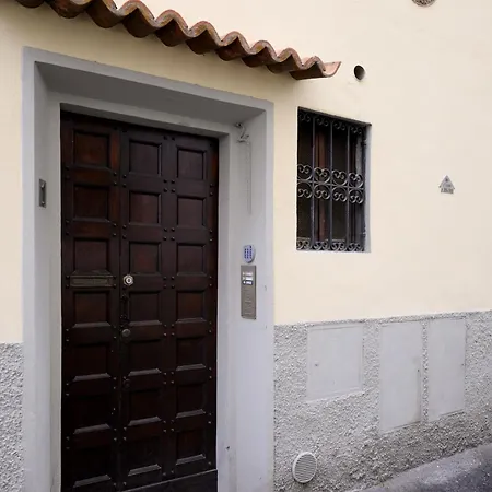Angelico Cozy Florencia